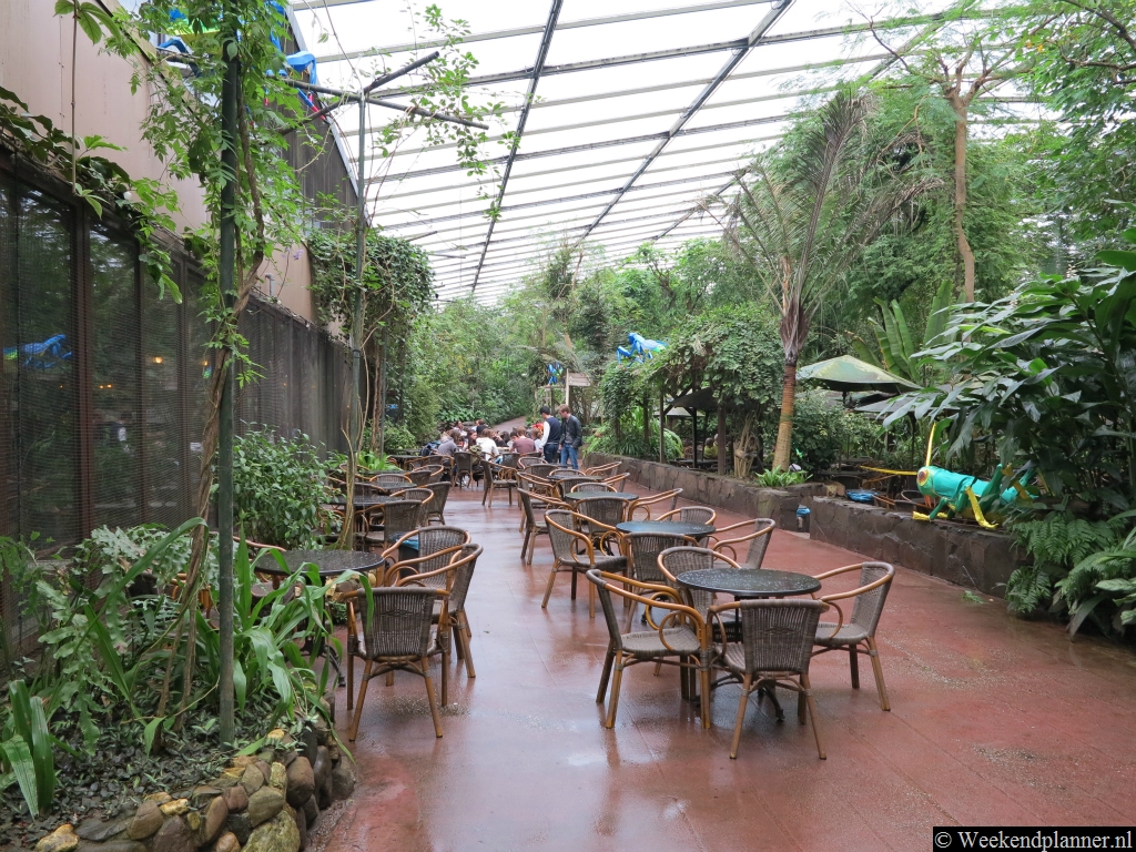 In het oerwoud is een groot restaurant met een terras waar het ook in de winter heel warm is. Op de foto heeft het net geregend.